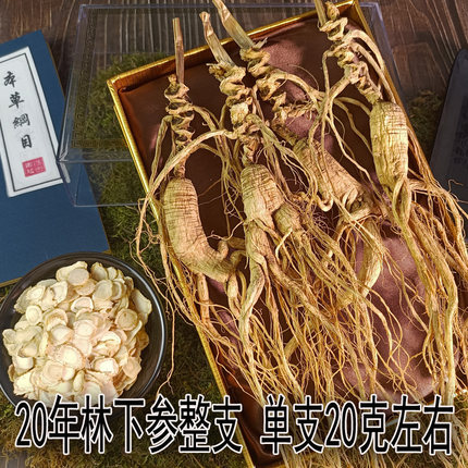 长白山野山参林下参人参移山参礼盒野生人参泡酒野山参煲汤礼品