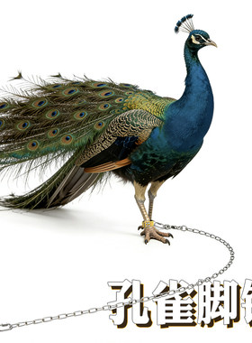孔雀狮头鹅牵引绳鸡鸭脚套