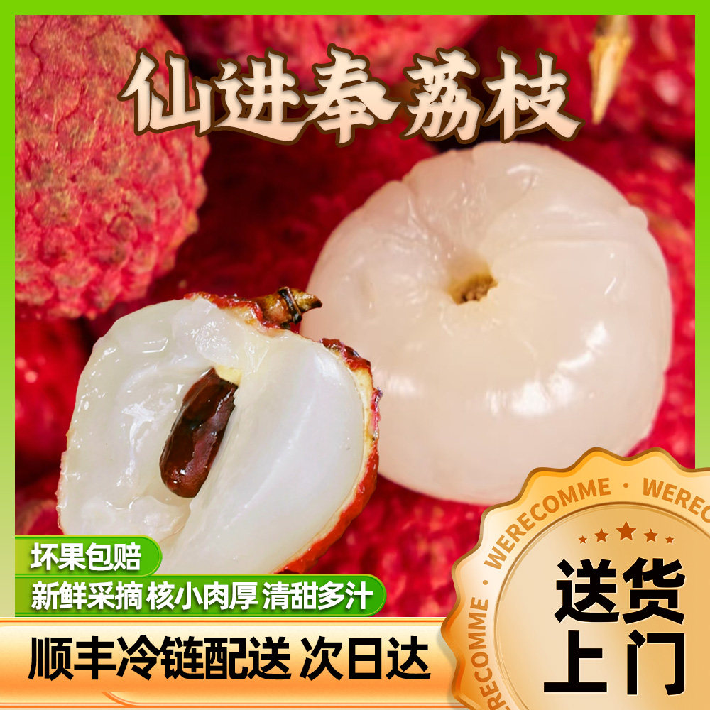 增城仙进奉荔枝5斤礼盒装顺丰特快空运包邮当天摘