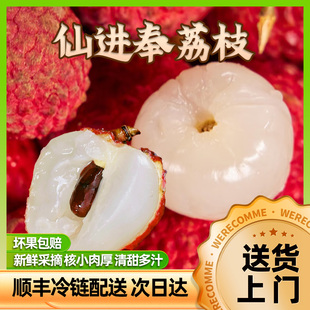 增城仙进奉荔枝5斤礼盒装顺丰特快空运包邮当天摘
