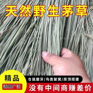 天然野生晒干油草茅草适合宠物磨牙鸟窝原材料宠物编织原材料新草