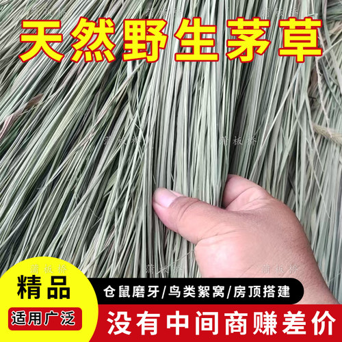 天然野生晒干油草茅草
