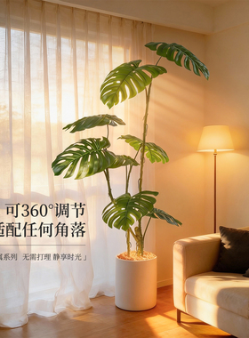 抖音直播间同款家居氛围摆件