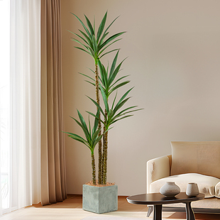 北欧风ins风剑麻仿生植物装饰大型盆栽落地室内造景假树仿真绿植