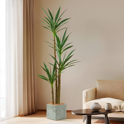 剑麻仿生植物免打理仿真绿植