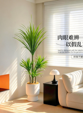 【达人推荐】仿真高级植物装饰