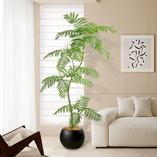 高颜值客厅绿植推荐-仿真蓝花楹