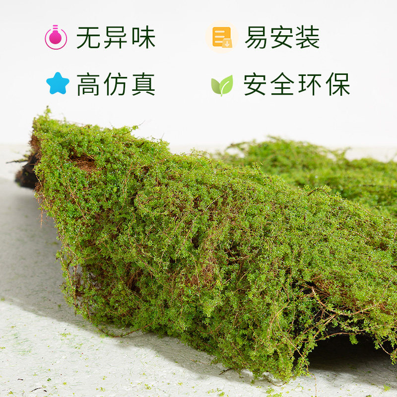 仿真苔藓微景观造景植物四季常青仿生绿植假草皮室内桌面铺面地毯,鲜花速递/花卉仿真/绿植园艺,仿真绿植,淘宝优惠券,粉丝福利购,淘宝优惠卷