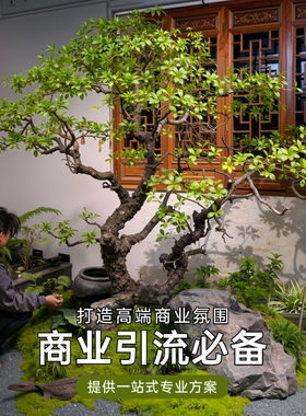 造景仿真绿植组合新中式景观