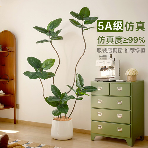 央妈推荐黑金刚橡皮树仿真绿植