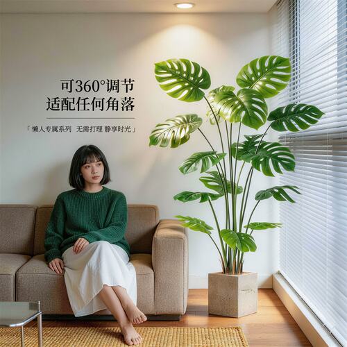 【低维护绿植】不用浇水轻松养活