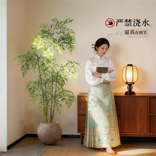 告别枯养焦虑，提升全屋格调