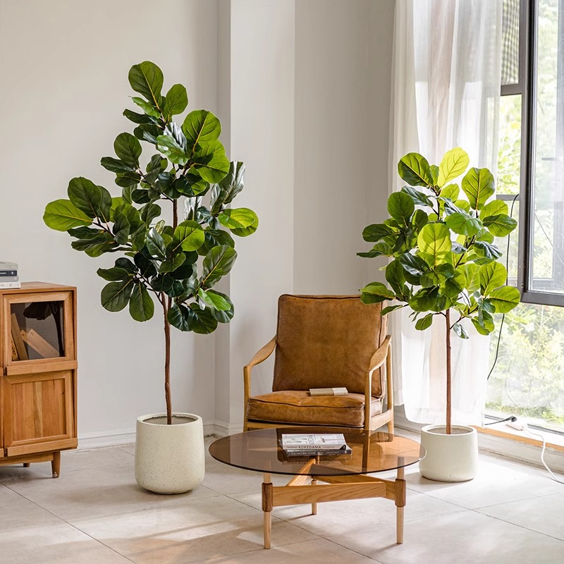 小红书爆款型盆栽室内摆件装饰