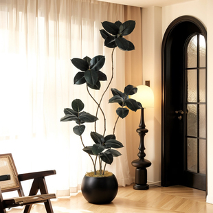 黑金刚仿真绿植高端轻奢室内电视柜装饰落地摆件仿生假植物橡皮树
