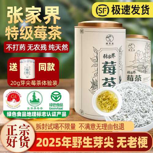 张家界特级野生茅岩莓茶芽尖
