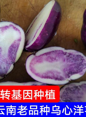 新鲜现挖乌心土豆农家自种紫色马铃薯洋芋非转基因蔬菜云南特产
