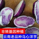 新鲜现挖乌心土豆农家自种紫色马铃薯洋芋非转基因蔬菜云南特产