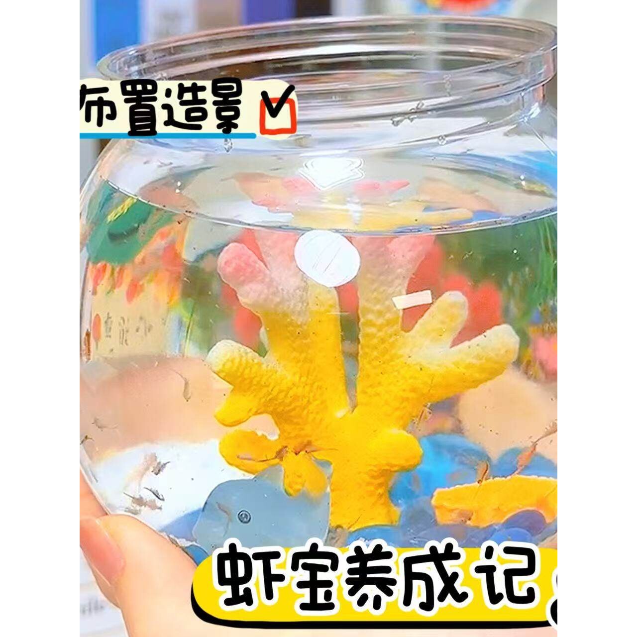 虾宝养成记图益科学小实验套装孵化养殖观察小学生玩具男女孩礼物