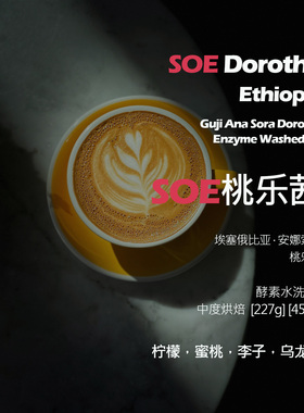 SOE埃塞俄比亚安娜索拉桃乐茜酵素水洗单品意式咖啡豆新鲜中烘