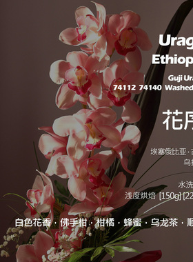 埃塞俄比亚古吉乌拉嘎74112 74140花序水洗G1手冲单品咖啡豆新鲜