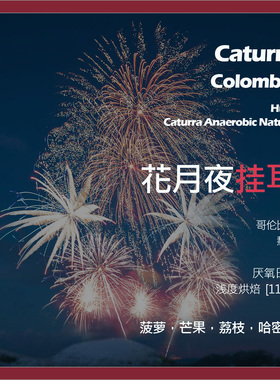 挂耳哥伦比亚慧兰花月夜厌氧日晒单品咖啡豆新鲜浅烘芒果哈密瓜