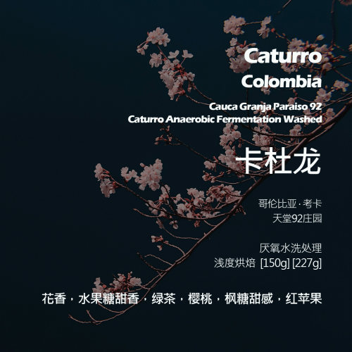 哥伦比亚天堂92庄园卡杜龙厌氧水洗手冲单品咖啡豆新鲜浅烘绿茶