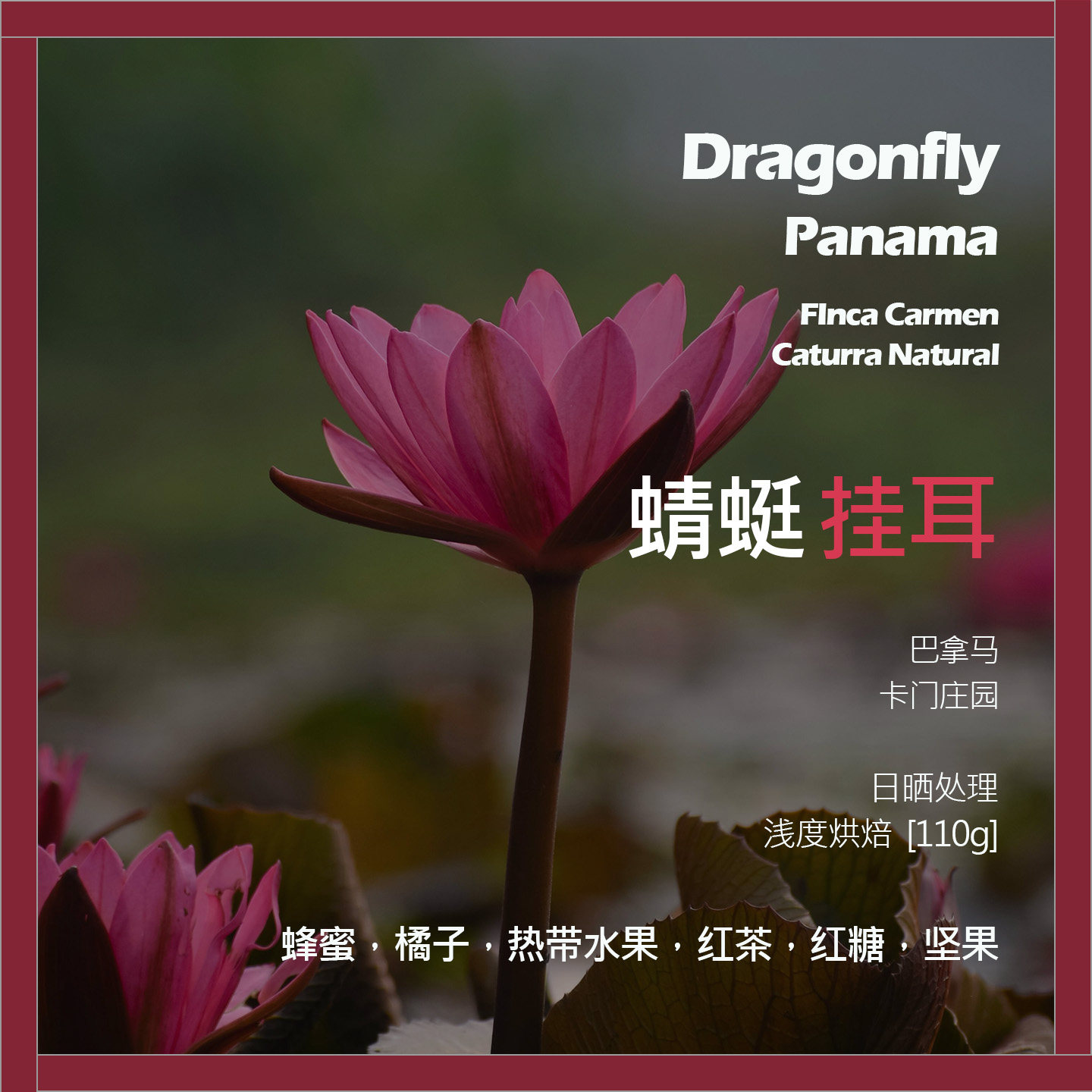 挂耳巴拿马卡门庄园卡杜拉日晒蜻蜓单品咖啡豆新鲜浅烘红茶坚果