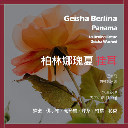 挂耳巴拿马柏林娜庄园瑰夏水洗单品咖啡豆新鲜浅烘绿茶柑橘花香