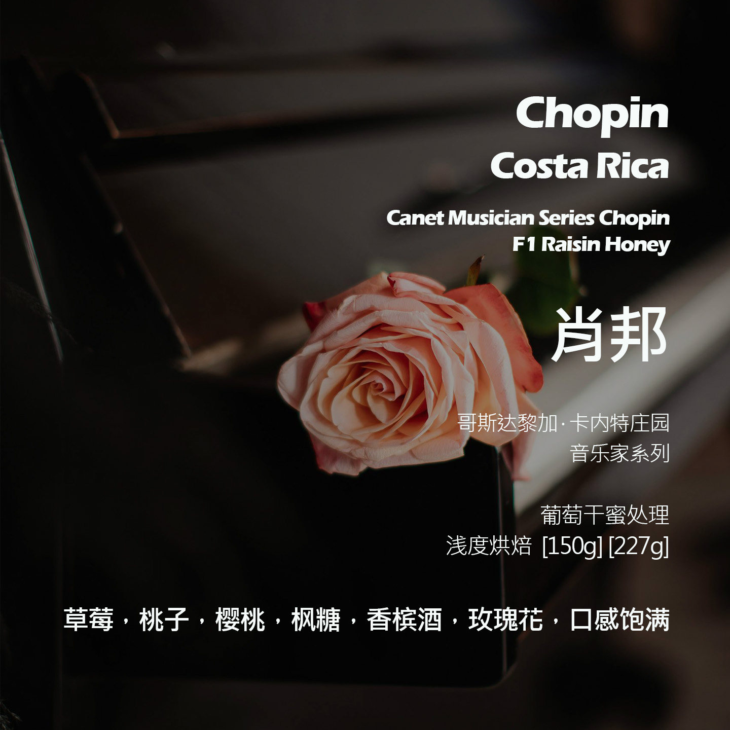 哥斯达黎加音乐家系列卡内特庄园肖邦葡萄干蜜处理手冲单品咖啡豆