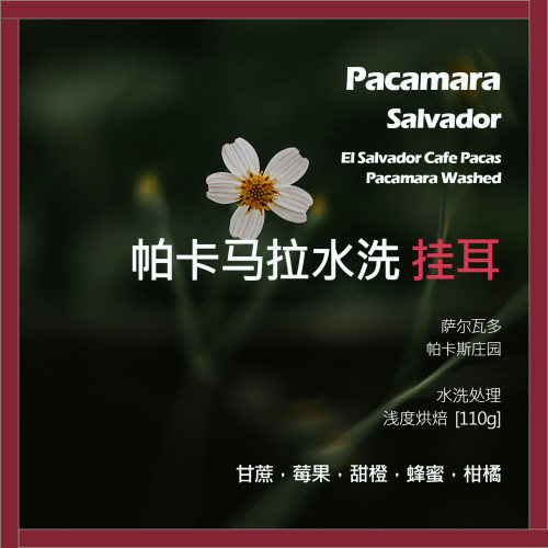 挂耳萨尔瓦多帕卡斯庄园帕卡马拉水洗单品咖啡豆新鲜浅烘蜂蜜柑橘