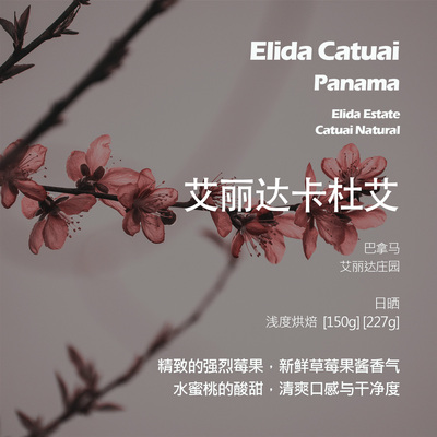 巴拿马艾丽达庄园卡杜艾日晒手冲单品咖啡豆浅烘新鲜草莓果酱香气
