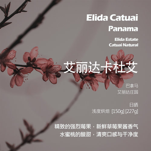 巴拿马艾丽达庄园卡杜艾日晒手冲单品咖啡豆浅烘新鲜草莓果酱香气