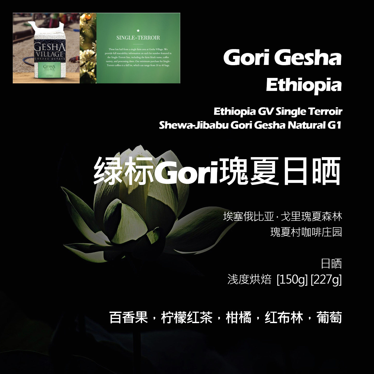 埃塞俄比亚瑰夏村绿标GORI瑰夏日晒手冲单品咖啡豆浅烘百香果柑橘