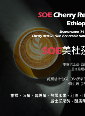 SOE埃塞俄比亚圣塔维尼74158美杜莎96小时厌氧日晒单品意式咖啡豆