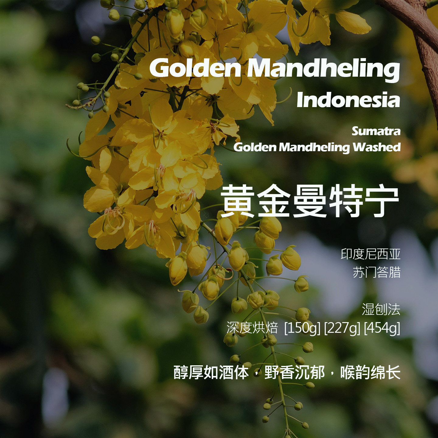 印尼苏门答腊黄金曼特宁湿刨法手冲单品咖啡豆深烘野香沉郁