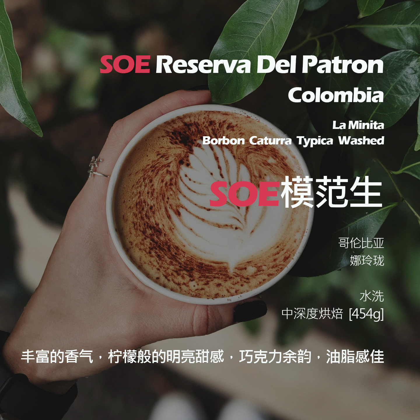 SOE哥伦比亚娜玲珑模范生水洗单品意式咖啡豆中深烘焙巧克力余韵