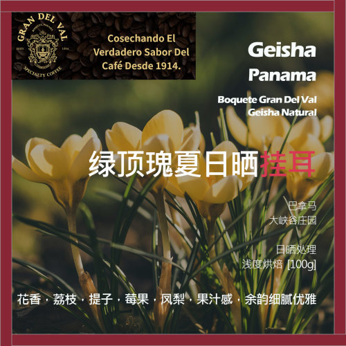 挂耳巴拿马大峡谷庄园绿顶瑰夏日晒单品咖啡豆浅烘花香荔枝果汁感