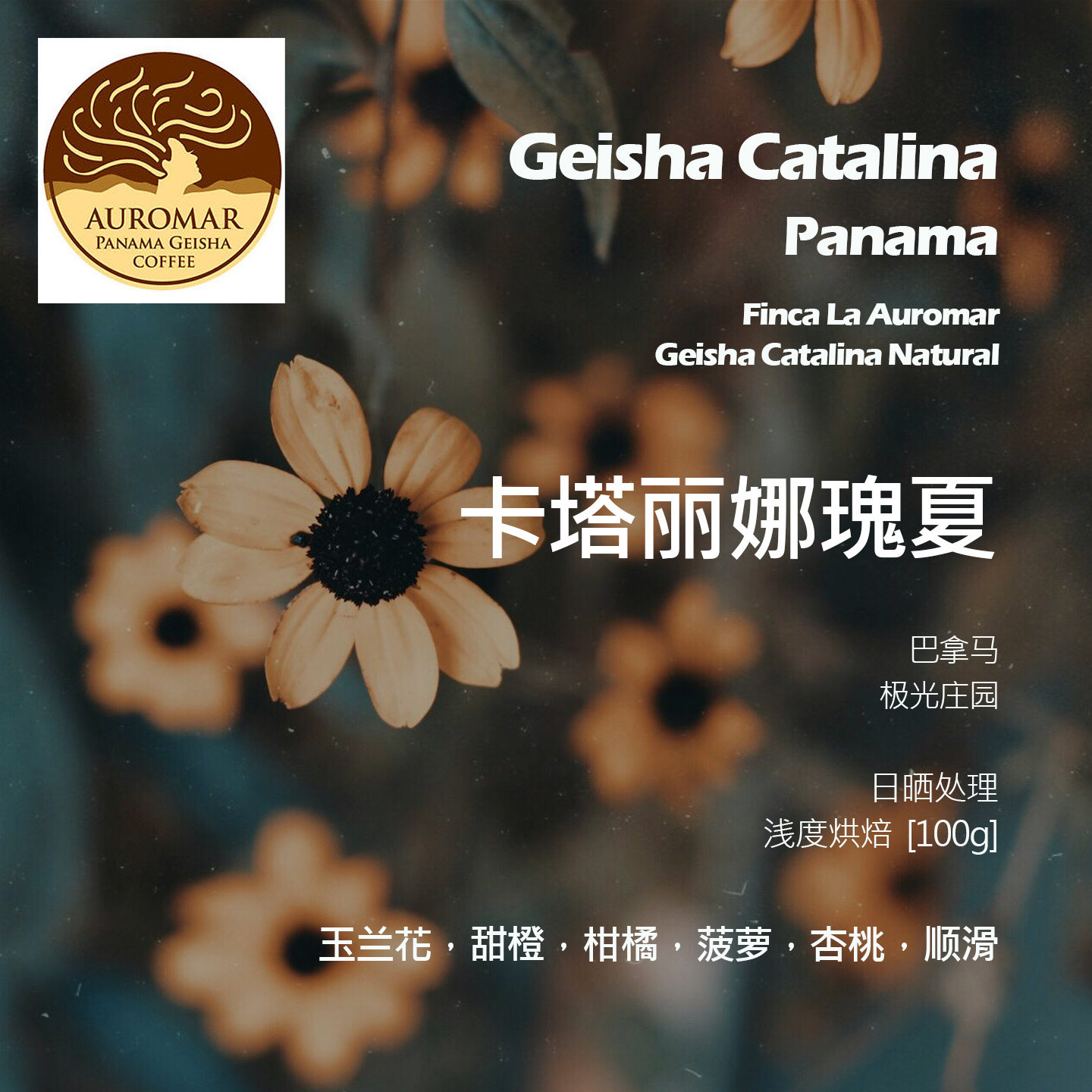 巴拿马极光庄园卡塔丽娜瑰夏日晒手冲单品咖啡豆浅烘玉兰花甜橙