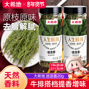 大希地迷迭香牛排专用调味料食用干料配轻食正宗调料包香料粉