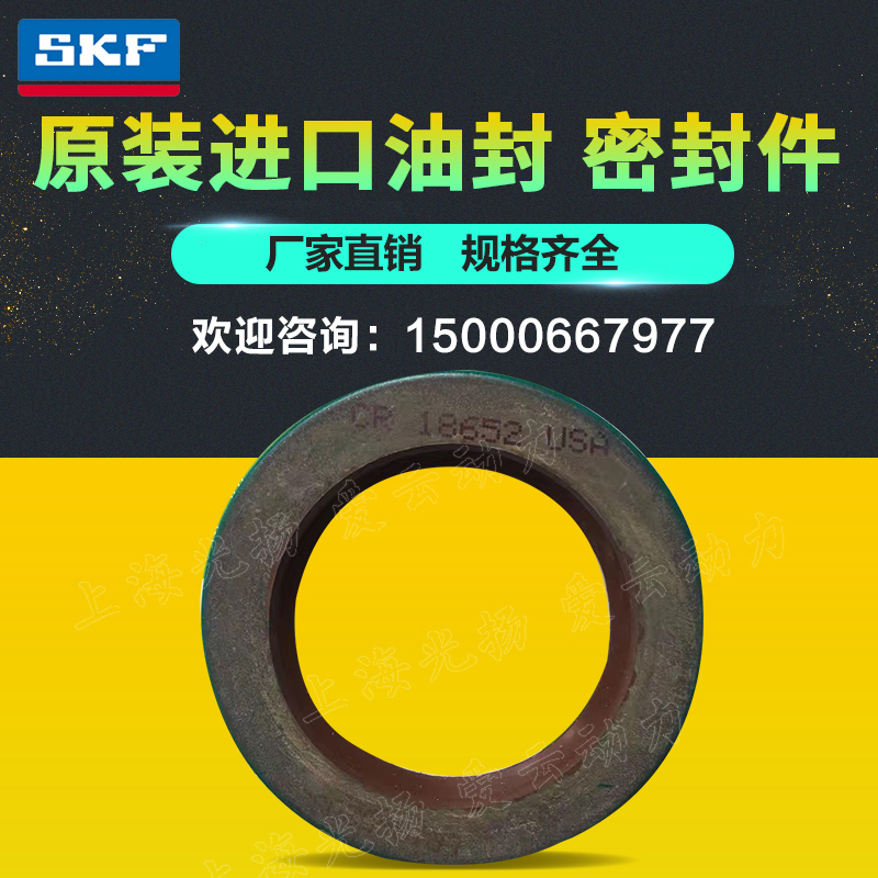 斯凯孚瑞典进口密封件