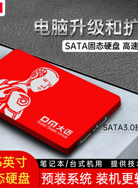 DM固态硬盘120g 笔记本台式机电脑256g硬盘SATA接口大容量固态1tb