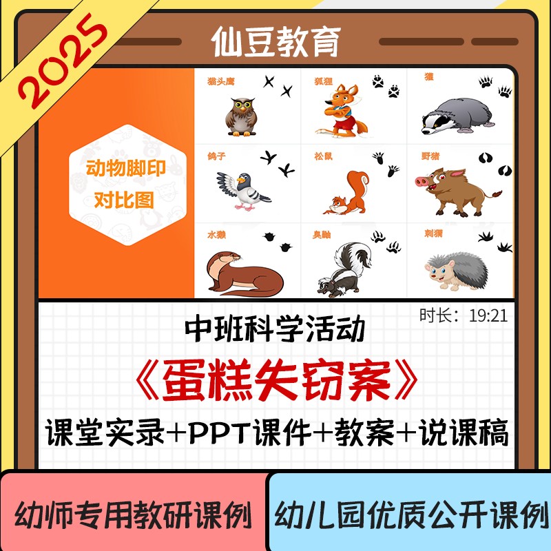 2025幼儿园中班科学优质公开课蛋糕失窃案视频PPT课件教案