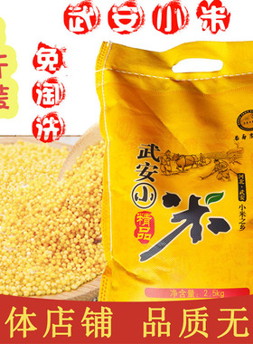 河北武安红谷小米月子小黄米食用小米粥长寿农家谷红谷小米2500g