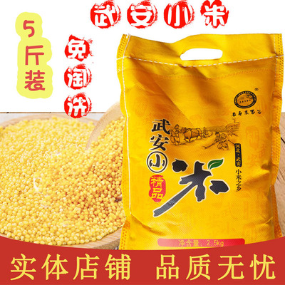 河北武安红谷小米月子小黄米食用小米粥长寿农家谷红谷小米2500g
