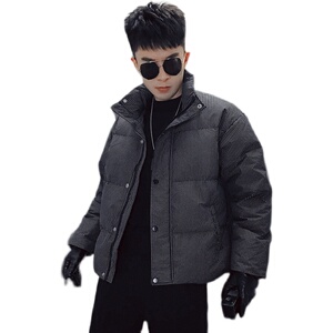 MY26-特P148 韩版冬季男潮牌ins条纹立领百搭加厚休闲服外套图片