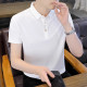 冰丝短袖 白色POLO衫 T恤2025夏季 潮牌百搭透气薄款 男 新款 高端男士