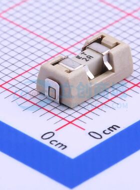0154002.DRT 125V贴片式保险丝 SMD,9.7x5mm 2A 125V 可开票