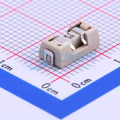 0154002.DRT 125V贴片式保险丝 SMD,9.7x5mm 2A 125V 可开票