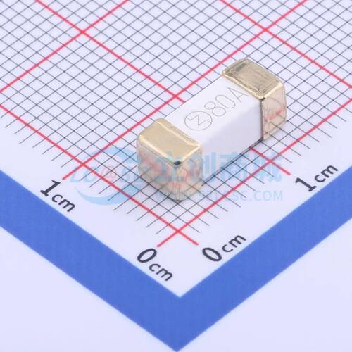R1245.80 1245 125V 80A 镀金贴片保险丝 SMD,12.5x4.5mm 80A