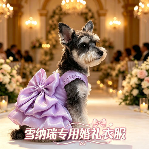 雪纳瑞专用狗狗婚礼衣服结婚礼公主服连衣裙子小型犬参加婚礼拍照